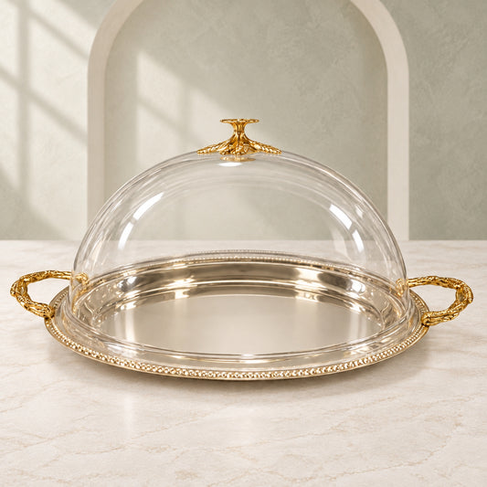Luxury Stainless Steel Serving Tray with Clear Dome Cover – Silver Finish